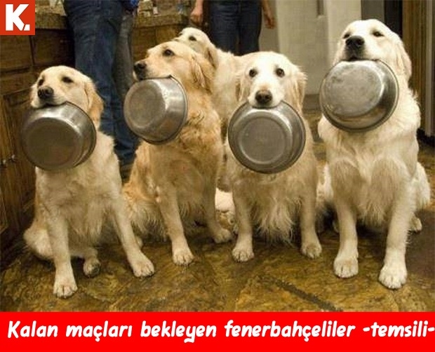 Fenerbahçe Molde maçı capsleri 30