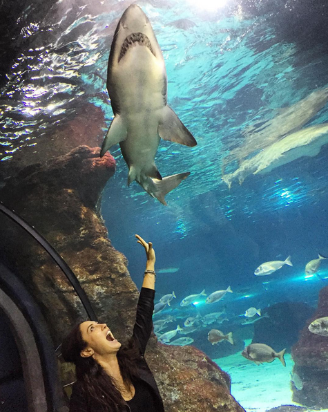 Instagram'da ünlüler: Cevabı zor sorular 12