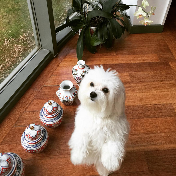 Instagram'da ünlüler: Dizi için kılıktan kılığa giriyor 10