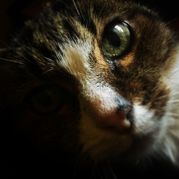 Instagram'da ünlüler: Ezgi Mola görüntüsüyle şaşırttı 15