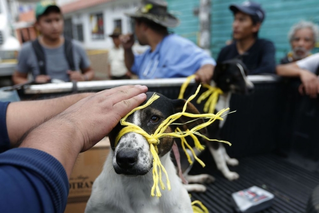 Guatemela'da heyelan: 131 ölü, 300 kayıp 3