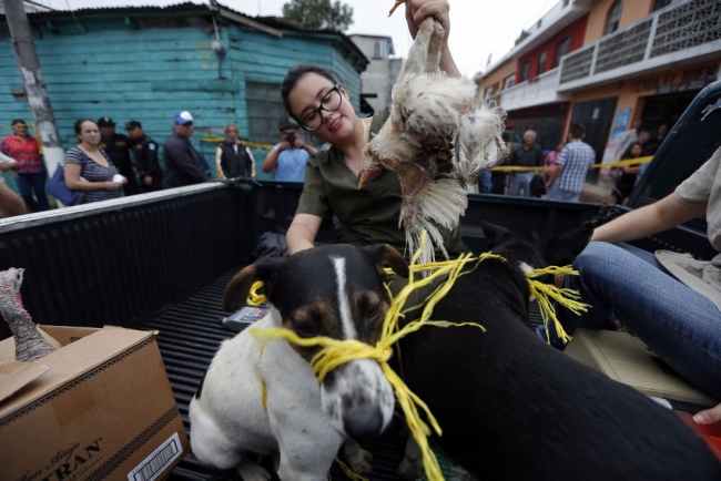Guatemela'da heyelan: 131 ölü, 300 kayıp 18