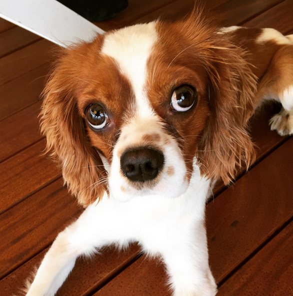 Instagram'da ünlüler: Kaykay şov! 18