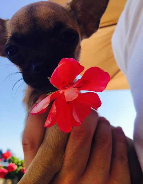 Instagram'da ünlüler: 'İki deli' buluştu 4