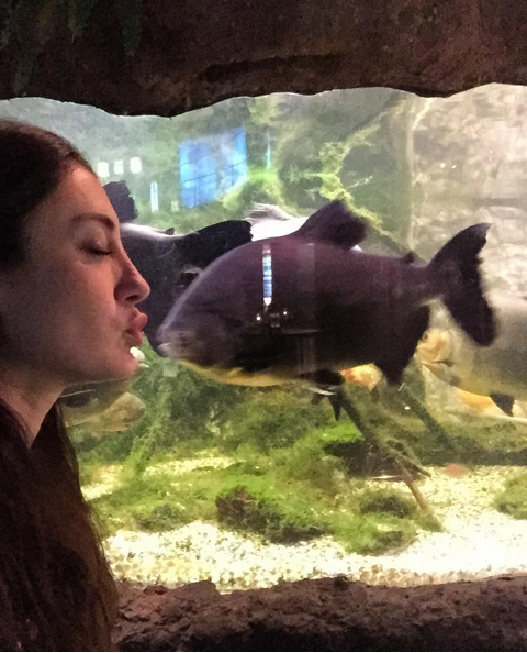 Instagram'da ünlüler: Evimizde dostlar 19