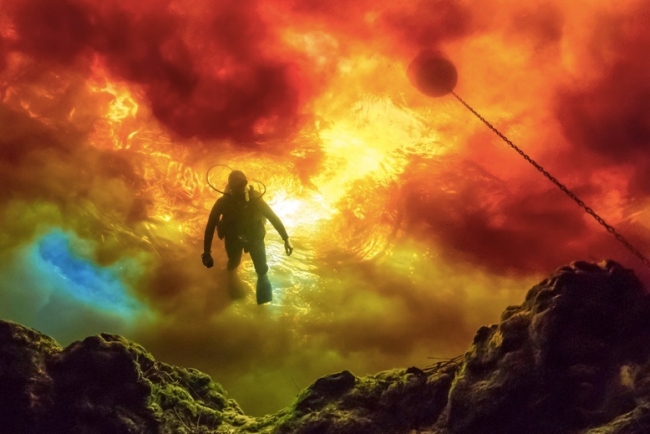 National Geographic fotoğraf yarışmasının yıldızları 8