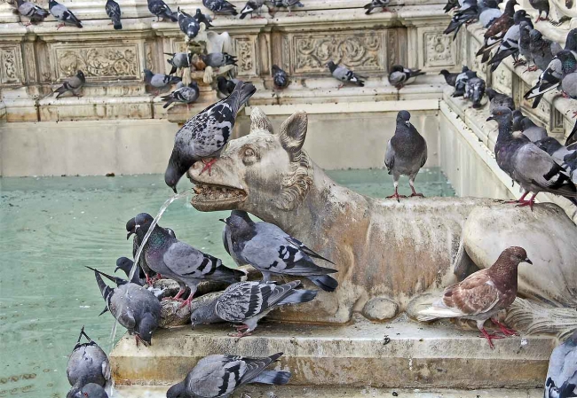 Ülkelerin tuhaflıkta birbiriyle yarışacağı 6 yasak 12