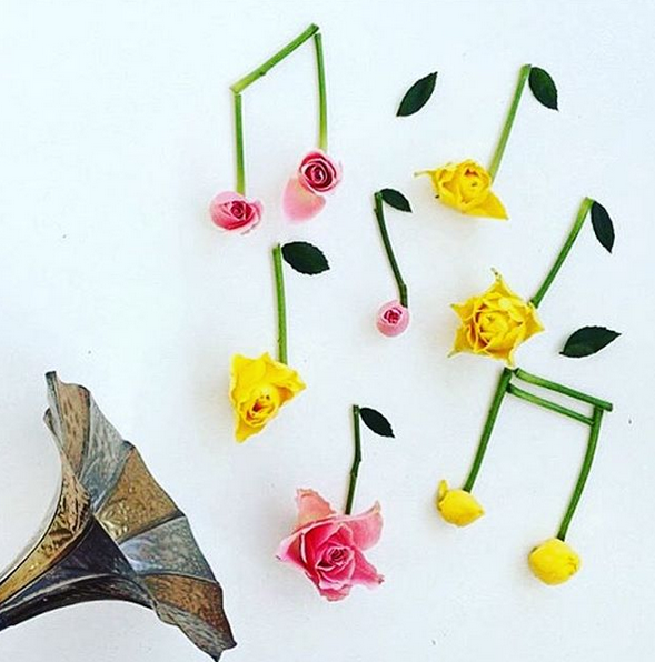 Instagram'da ünlüler: Hidayet Türkoğlu Eşkıya Dünyaya Hükümdar Olmaz fanatiği! 4