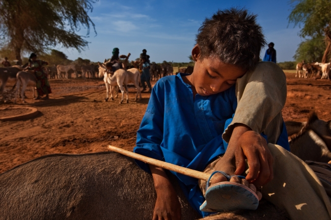 En garip kabile gelenekleri 14
