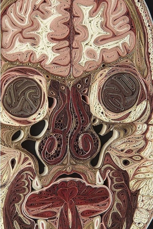 Eski kitaplardan anatomi kesitleri 6