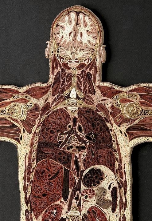 Eski kitaplardan anatomi kesitleri 8