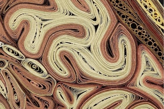 Eski kitaplardan anatomi kesitleri 9