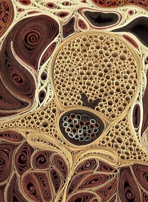 Eski kitaplardan anatomi kesitleri 10