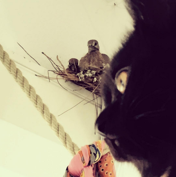 Instagram'da ünlüler: 1 gol 2 kilo et! 9