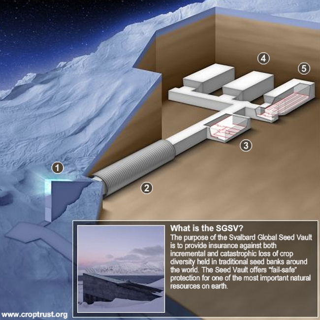 Kıyamet Ambarı, kapılarını Suriye için açtı 6
