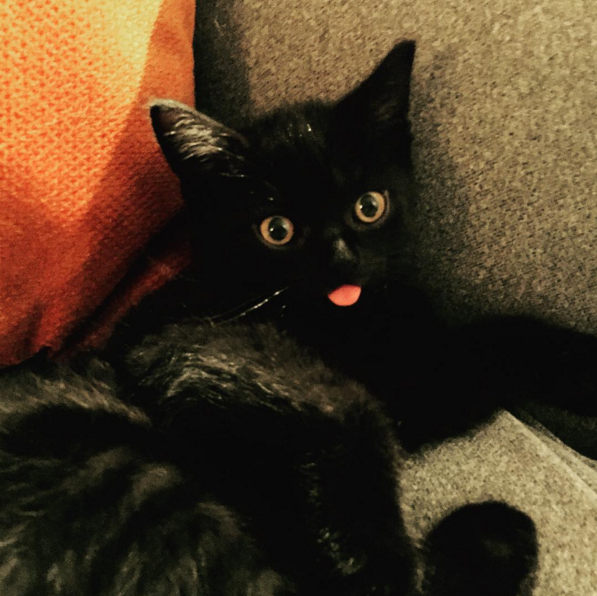 Instagram'da ünlüler: Küslük tatlıya bağlandı! 19