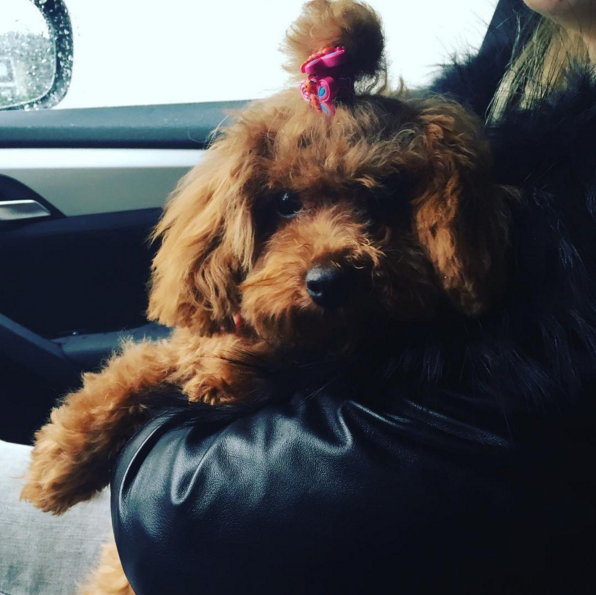 Instagram'da ünlüler: Şirinler aşkına! 16