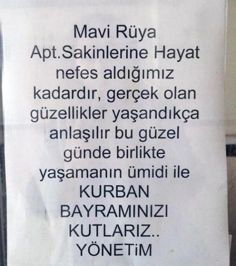 Komik apartman ilanları 31