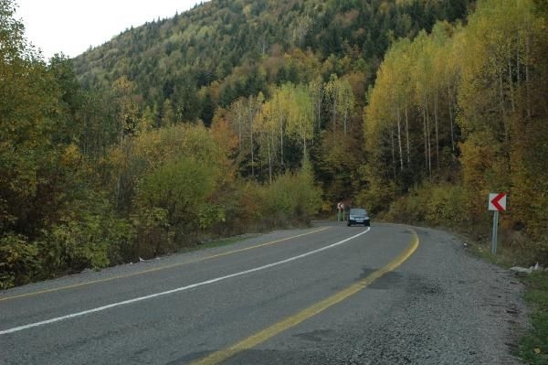 Ardahan Posof'ta sonbaharla gelen renk cümbüşü! 6
