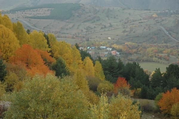 Ardahan Posof'ta sonbaharla gelen renk cümbüşü! 3