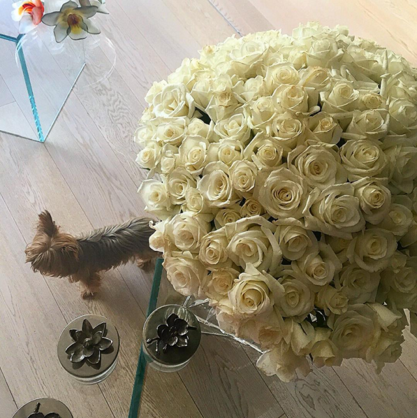 Instagram'da ünlüler: Bade İşçil'den Malkoç Süalp'e gönderme 8