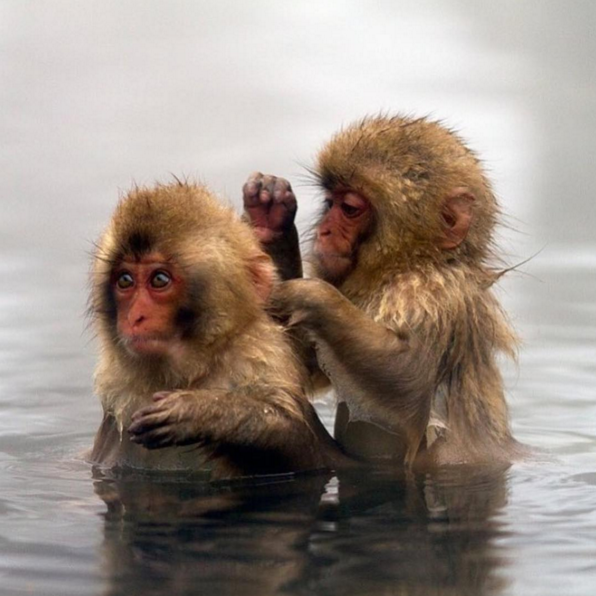 Instagram'da ünlüler: Çalkalamaya ihtiyacımız var! 13