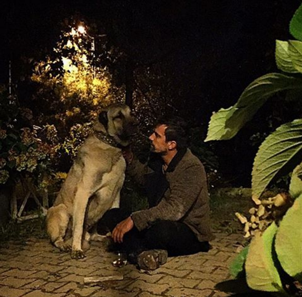 Instagram'da ünlüler: Çalkalamaya ihtiyacımız var! 19