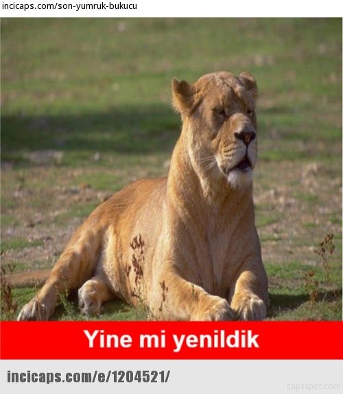 Muslera: Golü de mi ben atayım? 4