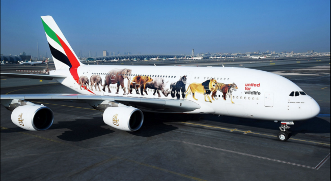 Özel tasarımlı uçaklar 1