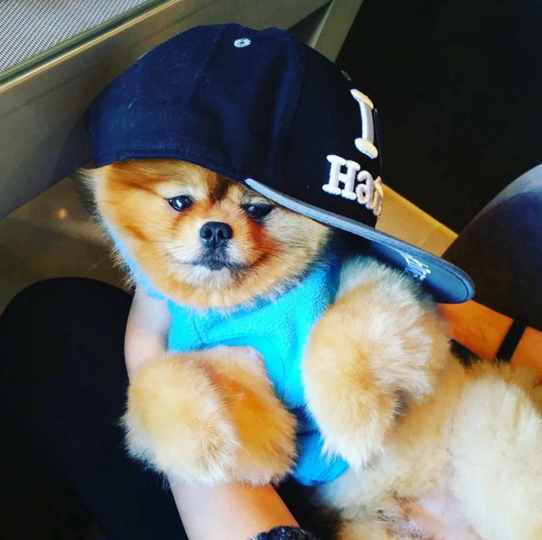 Instagram'da ünlüler: 'Kalbimi Koydum' ile Beyaz Show'da! 16