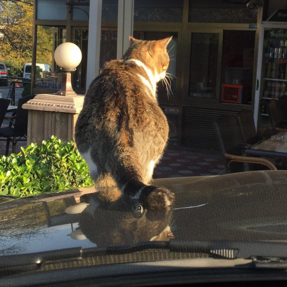 Instagram'da ünlüler: 'Kalbimi Koydum' ile Beyaz Show'da! 9