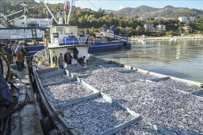 Bugün Türkiye'de neler oldu? 06.11.2015 15