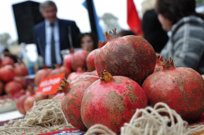 Narın mucizevi faydaları 14