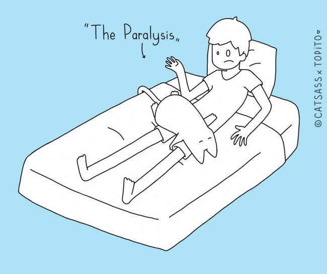 Asıl sahip kim? Siz mi, kediniz mi? 4