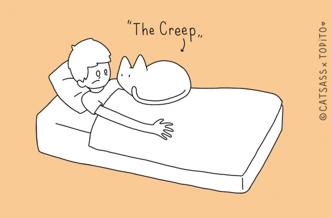 Asıl sahip kim? Siz mi, kediniz mi? 10