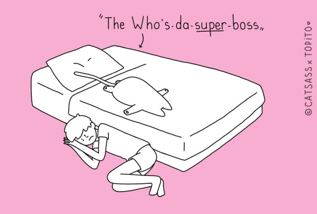 Asıl sahip kim? Siz mi, kediniz mi? 7