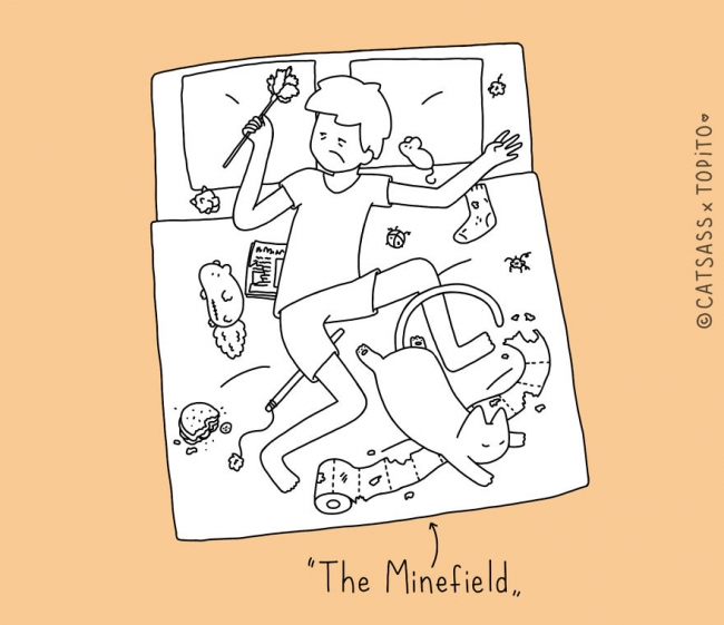 Asıl sahip kim? Siz mi, kediniz mi? 8