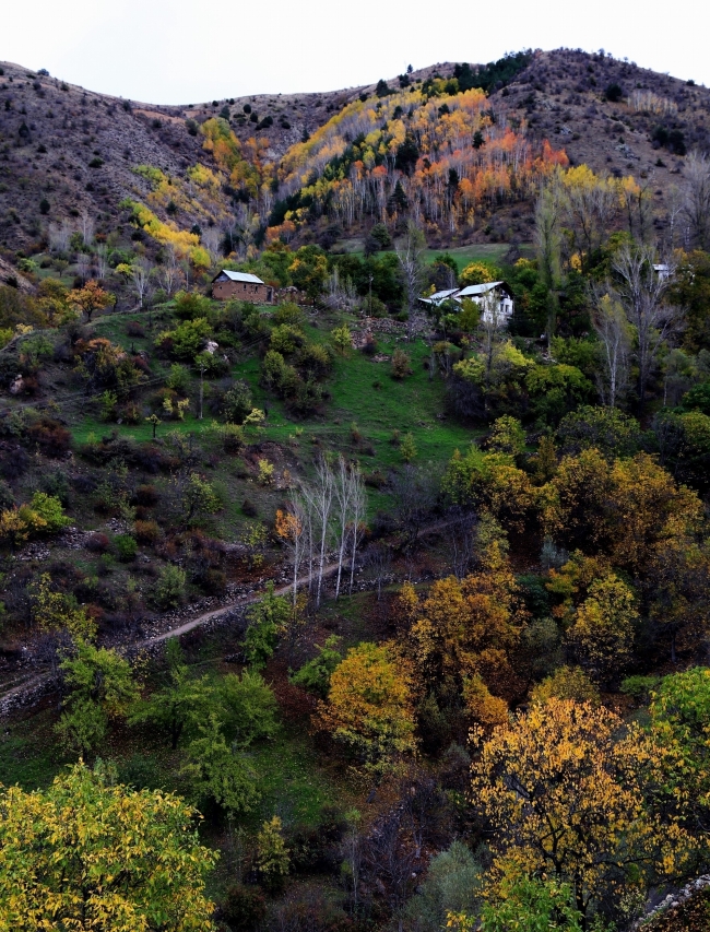 Sonbaharın doyumsuz manzara kareleri... 2