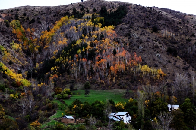 Sonbaharın doyumsuz manzara kareleri... 4