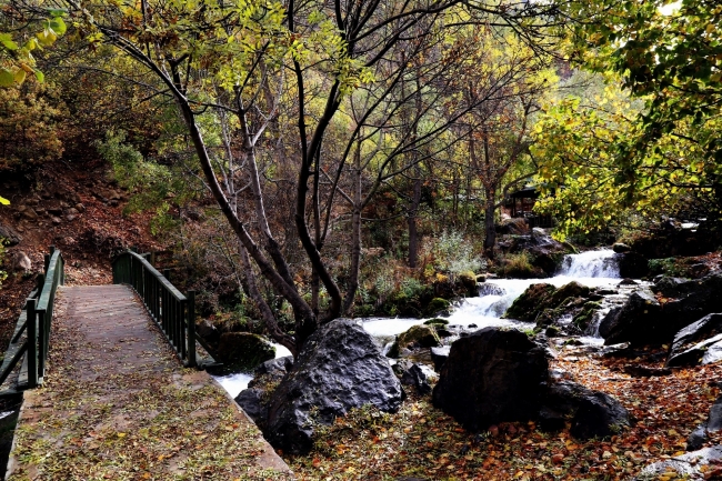 Sonbaharın doyumsuz manzara kareleri... 5