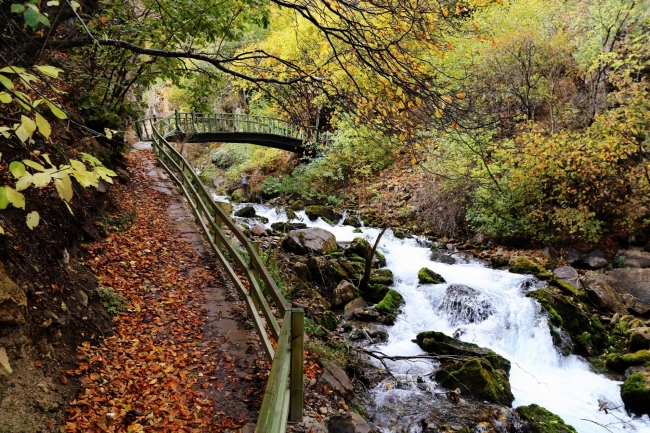Sonbaharın doyumsuz manzara kareleri... 7