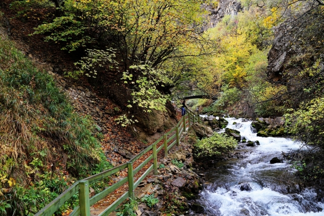 Sonbaharın doyumsuz manzara kareleri... 9