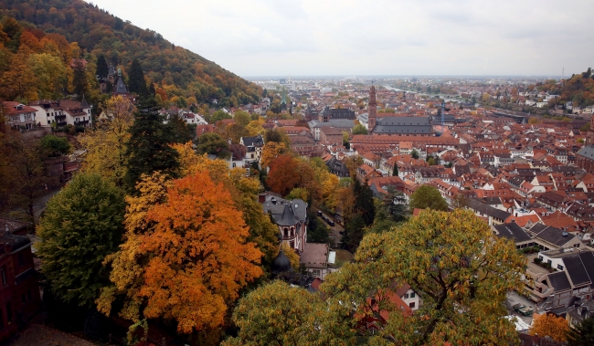 Sonbaharın doyumsuz manzara kareleri... 13