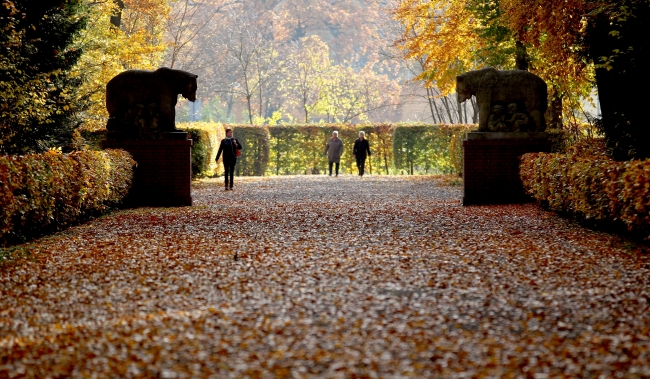 Sonbaharın doyumsuz manzara kareleri... 14