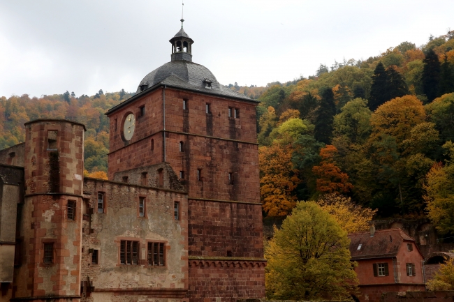 Sonbaharın doyumsuz manzara kareleri... 16