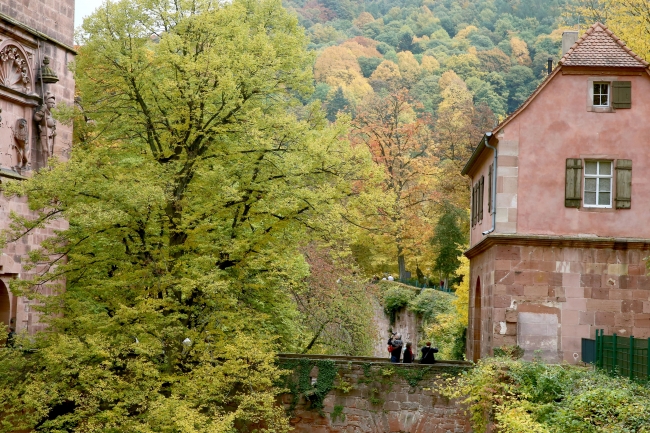 Sonbaharın doyumsuz manzara kareleri... 17