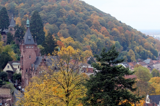 Sonbaharın doyumsuz manzara kareleri... 19