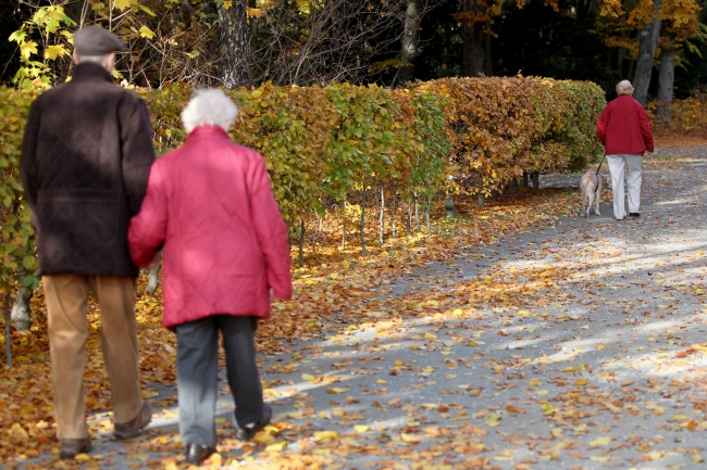 Sonbaharın doyumsuz manzara kareleri... 20
