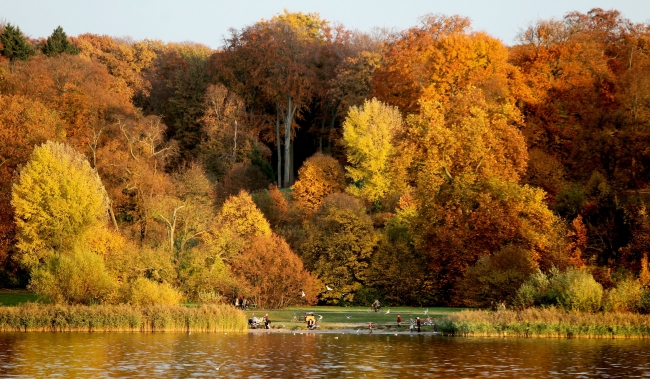Sonbaharın doyumsuz manzara kareleri... 21