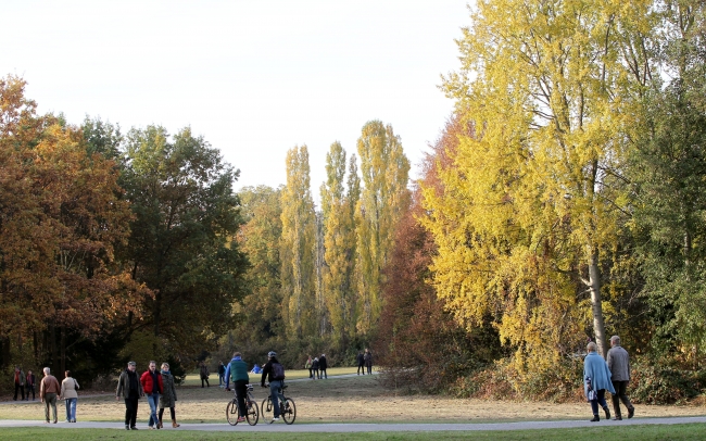 Sonbaharın doyumsuz manzara kareleri... 23
